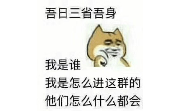 吾日三省吾身我是谁我是怎么进这群的他们怎么什么都会