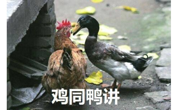 鸡同鸭讲 - 热门表情包精选20170126 ​（fabiaoqing.com）