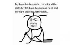 my brain has two parts: the left and the right.My left brain has nothing right, and my right brain has nothing left