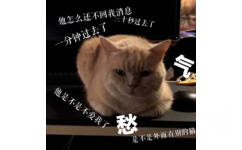 橘猫：他怎么还不回我信息，他是不是不爱我了，愁！是不是外面有别的猫