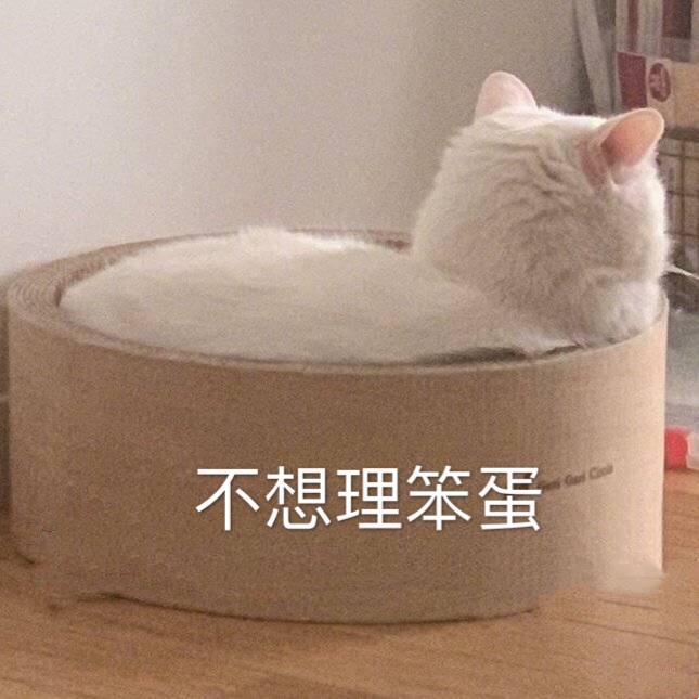 不想理笨蛋