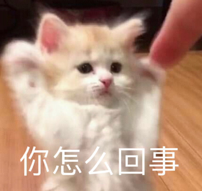 你怎么回事 猫咪表情包