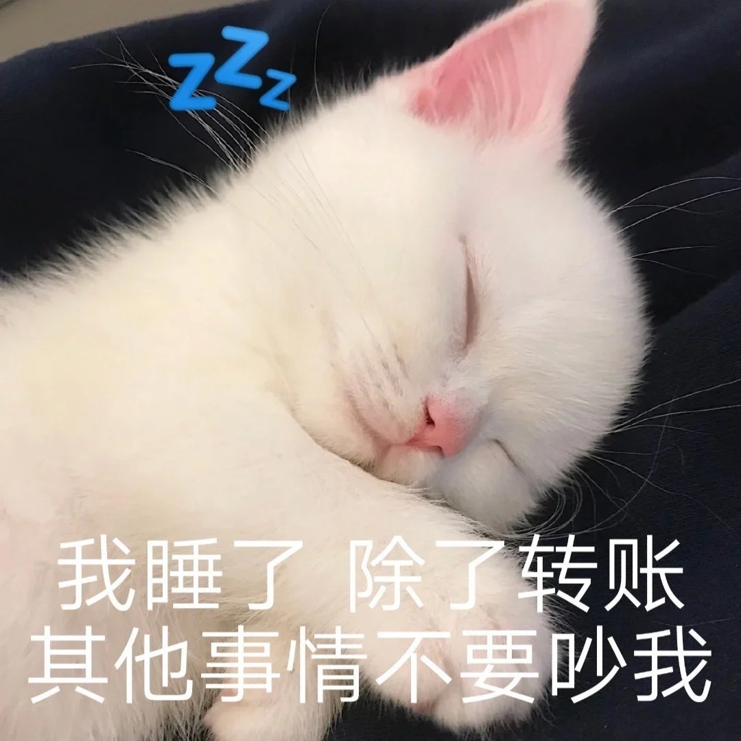 我睡了除了转账其他事情不要吵我 - 可爱猫咪表情包