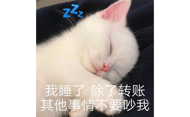 我睡了除了转账其他事情不要吵我 - 可爱猫咪表情包