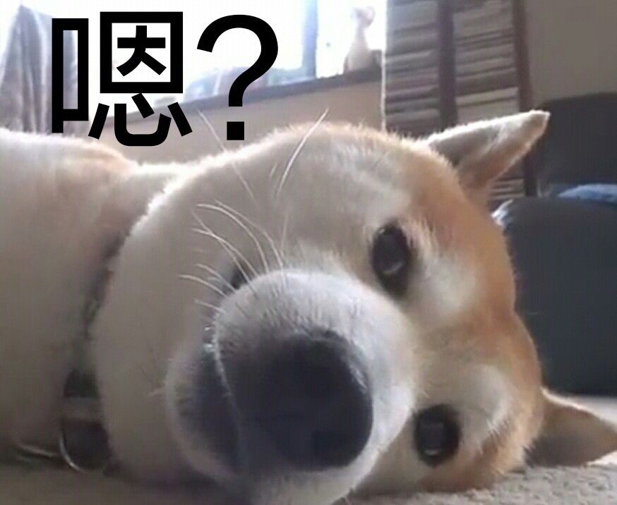 doge 凝视：嗯？ - 皮皮虾，我们走 ​