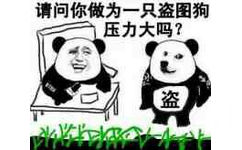 请问你作为一只盗图狗压力大吗？