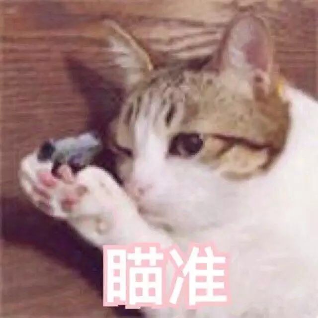 瞄准 - 猫咪射击三连 ​