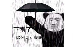 下雨了你还会回来吗