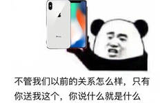 不管我们以前的关系怎么样，只有你送我这个，你说什么就是什么 - iPhone X，拿去战斗吧