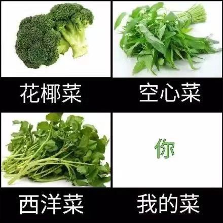 花椰菜空心菜你西洋菜我的菜