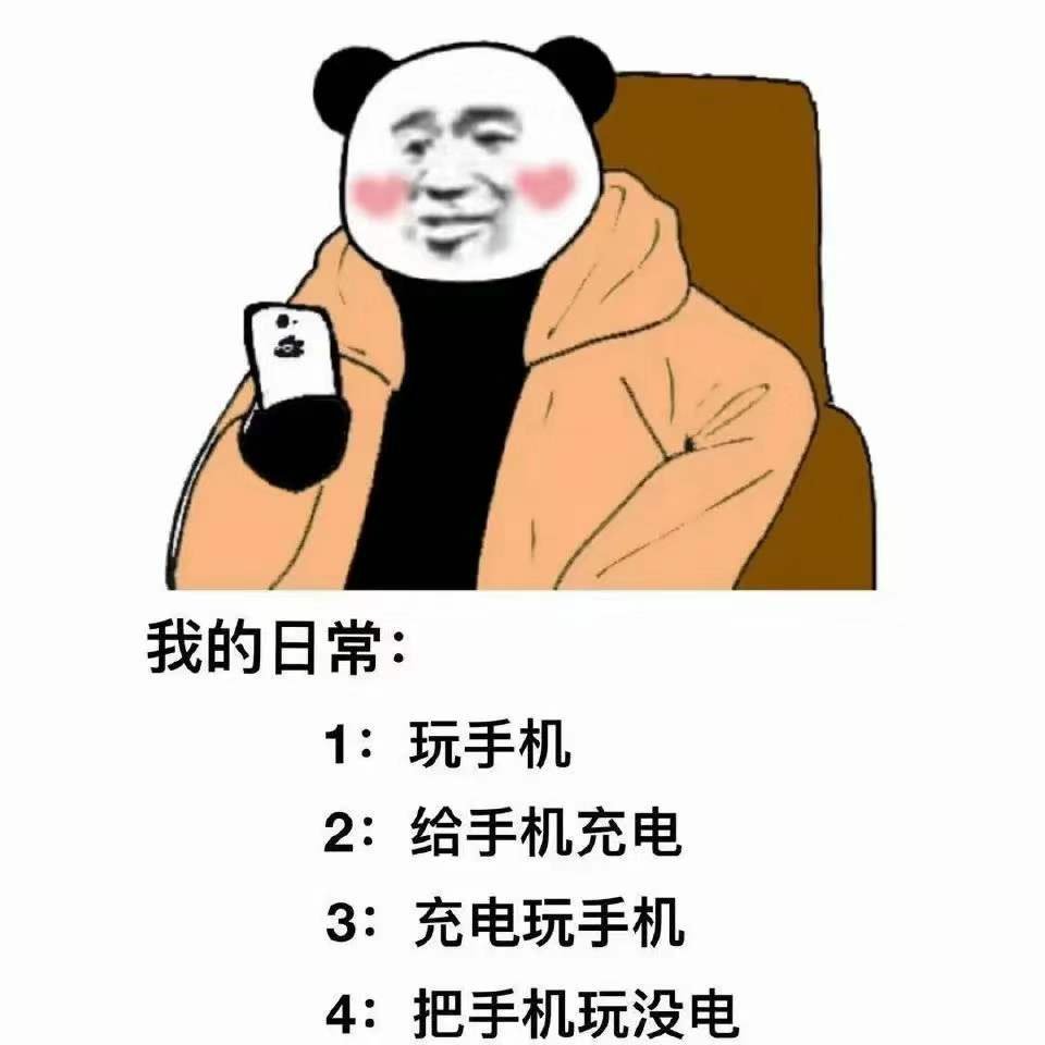 我的日常:1:玩手机2:给手机充电3:充电玩手机4:把手机玩没电