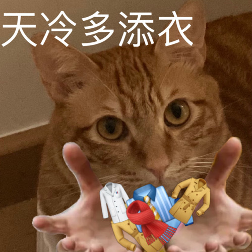 天冷多添衣 - 猫猫表情包