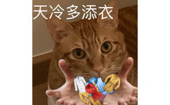 天冷多添衣 - 猫猫表情包