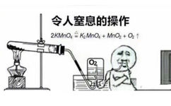 令人窒息的操作2 KMn 0 4 = K 2 Mn 0 4 + MnO 2 + O 2 t O 2 - 一组学科专业表情包