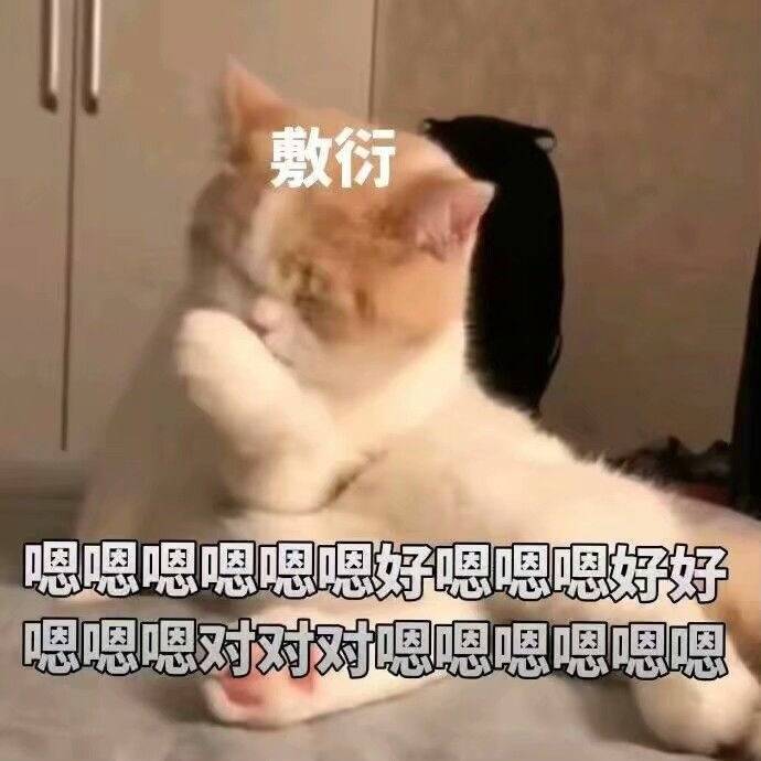 猫咪敷衍：嗯 好 对