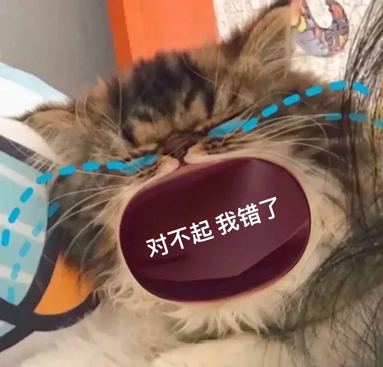 对不起我错了 - 猫咪张大嘴哭大嘴猫表情包