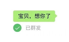 宝贝，想你了已群发