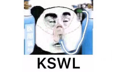 KSWL（熊猫头吸氧 医用氧气）