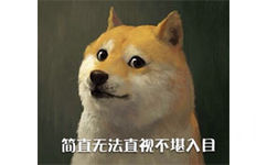 简直无法直视不堪入目 - doge最新装逼表情