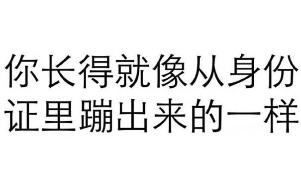 你长得就像从身份证里蹦出来的一样 - 一组纯文字斗图表情包