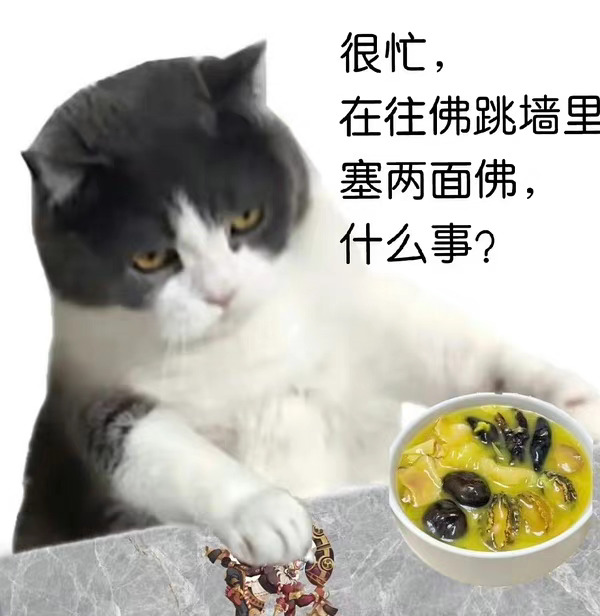 很忙,在往佛跳墙里塞两面佛,什么事? - 猫猫很忙表情包 ​