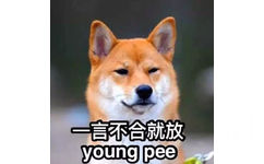 一言不合就放 young pee - 我承受着这个年龄不该有的机智和帅气（单身狗）