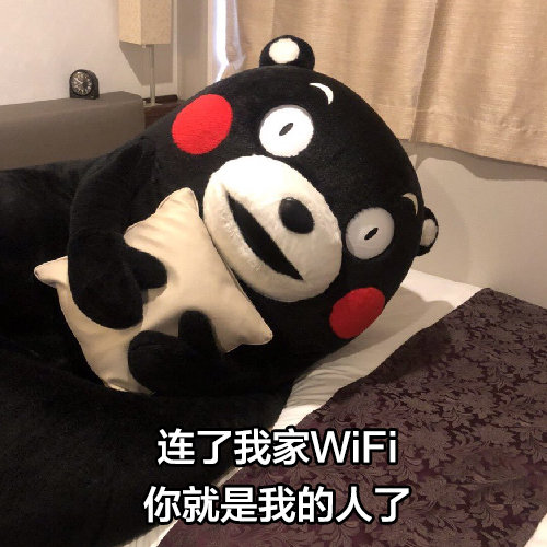 连了我家WiFi你就是我的人了 - 满嘴骚话，太撩人了