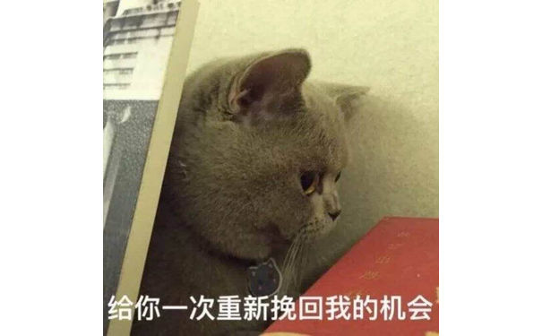 （猫咪）给你一次重新挽回我的机会