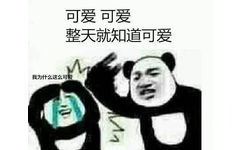 我为什么这么可爱？可爱，整天就知道可爱 - 一组熊猫头怼人表情包 ​