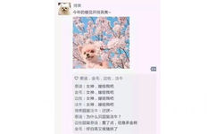 博美：今年的樱花开得真美~ - 狗狗的朋友圈