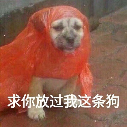 求你放过我这条狗把