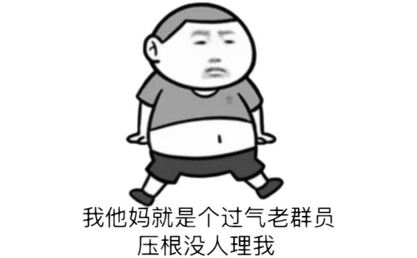 我他妈就是个过气老群员压根没人理我(群聊表情包)