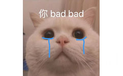 你bad bad (流泪猫猫头)