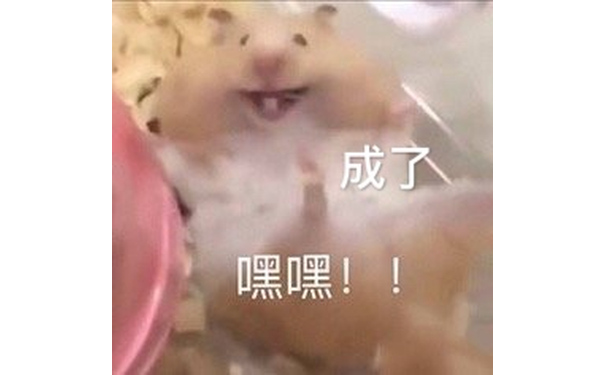 成了 嘿嘿！（仓鼠表情包）