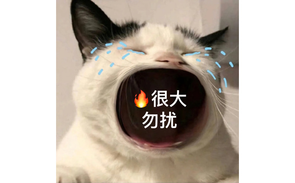 很大勿扰 - 猫咪张大嘴哭大嘴猫表情包