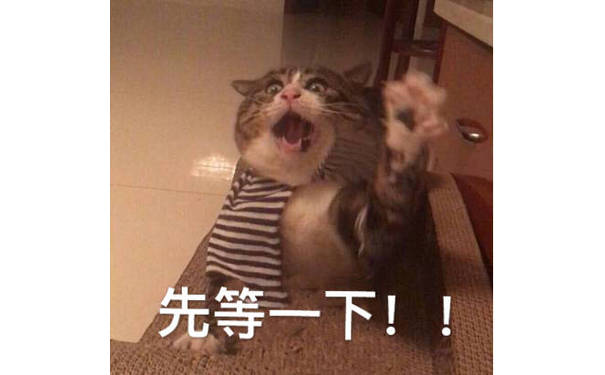 先等一下（猫咪）