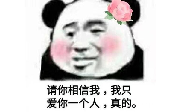 请你相信我，我只爱你一个人，真的（熊猫头）