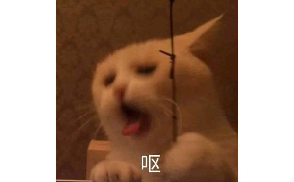 猫咪呕吐