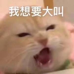 我想要大叫