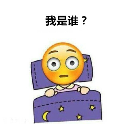 我是谁？ - 这是什么地方？我是谁？