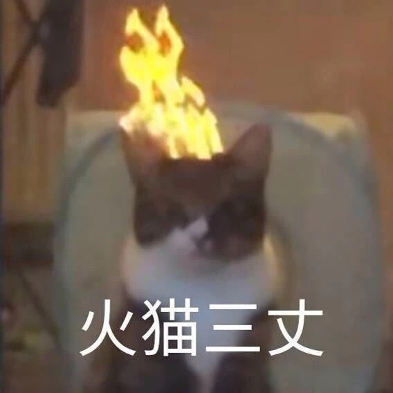 火猫三丈(猫咪表情包)