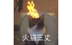 火猫三丈(猫咪表情包)