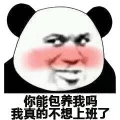 你能包养我吗 我真的不想上班了(熊猫头)