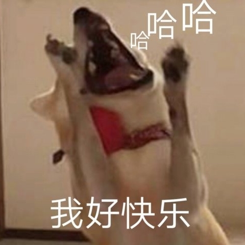 哈我好快乐