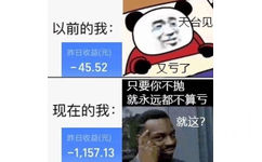 以前的我:台见昨日收益(元)-45.52又亏了只要你不抛就永远都不算亏现在的我就这?昨日收益(元)-1.157.13 - 保持快乐秘诀表情包