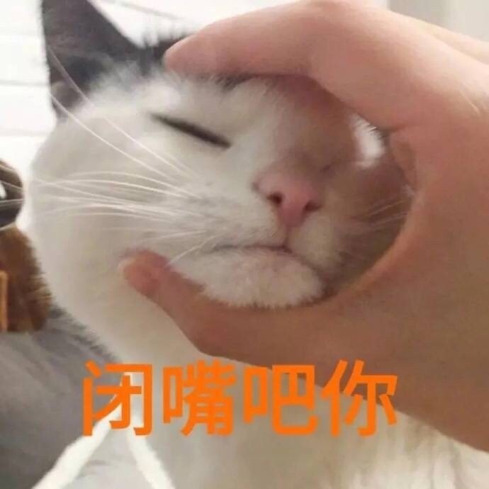 闭嘴吧你（猫咪表情包）