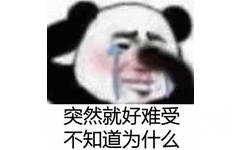 突然就好难受不知道为什么(熊猫头表情包)