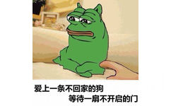 爱上一条不回家的狗，等待一扇不开启的门 - doge与sadfrog的完美结合