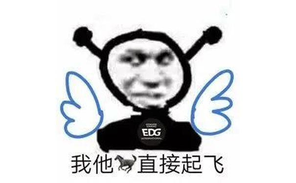 EDG 我他直接起飞 - EDG冠军表情包