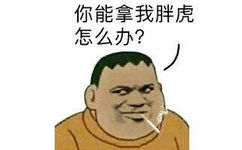 你能拿我胖虎怎么办?